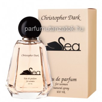 Christopher Dark Sea - Giorgio Armani Si parfüm utánzat